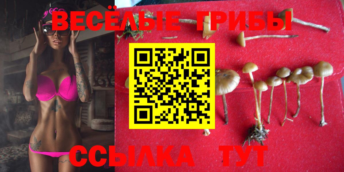 Псилоцибиновые грибы Magic Shrooms Коркино