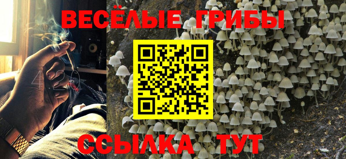 Псилоцибиновые грибы MAGIC MUSHROOMS  что такое   Вход с VPN  Коркино  Галлюциногенные грибы мухоморы 